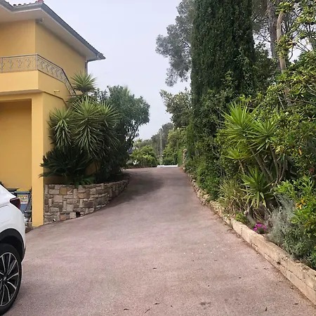 Gecko * Saint-Raphaël