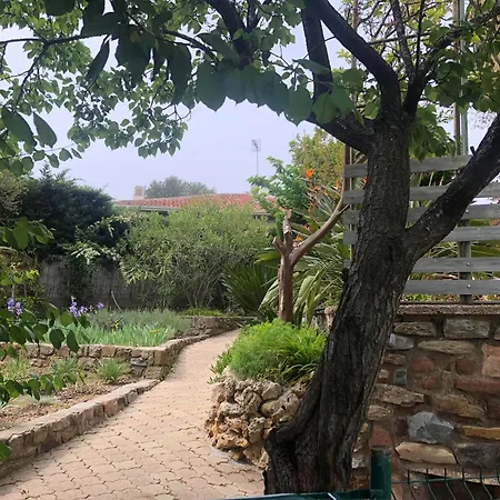 Gecko Appartamento *