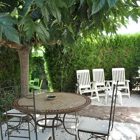 Gecko Saint-Raphaël