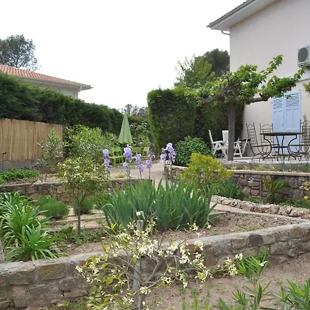 Gecko * Saint-Raphaël