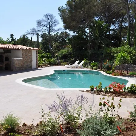Gecko Apartment