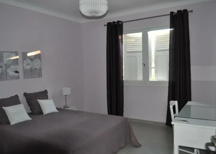 Gecko Appartement